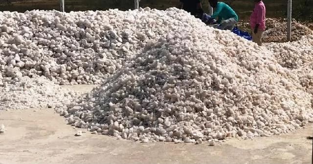 GeoX Microns gallery 17